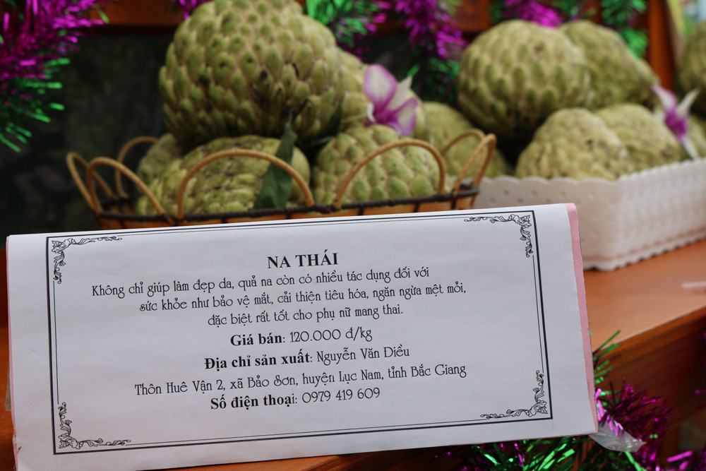 Na Thái DT68 là nhà cái uy tín hàng đầu trong lĩnh vực cá cược tại thị trường Việt Nam Lục Nam