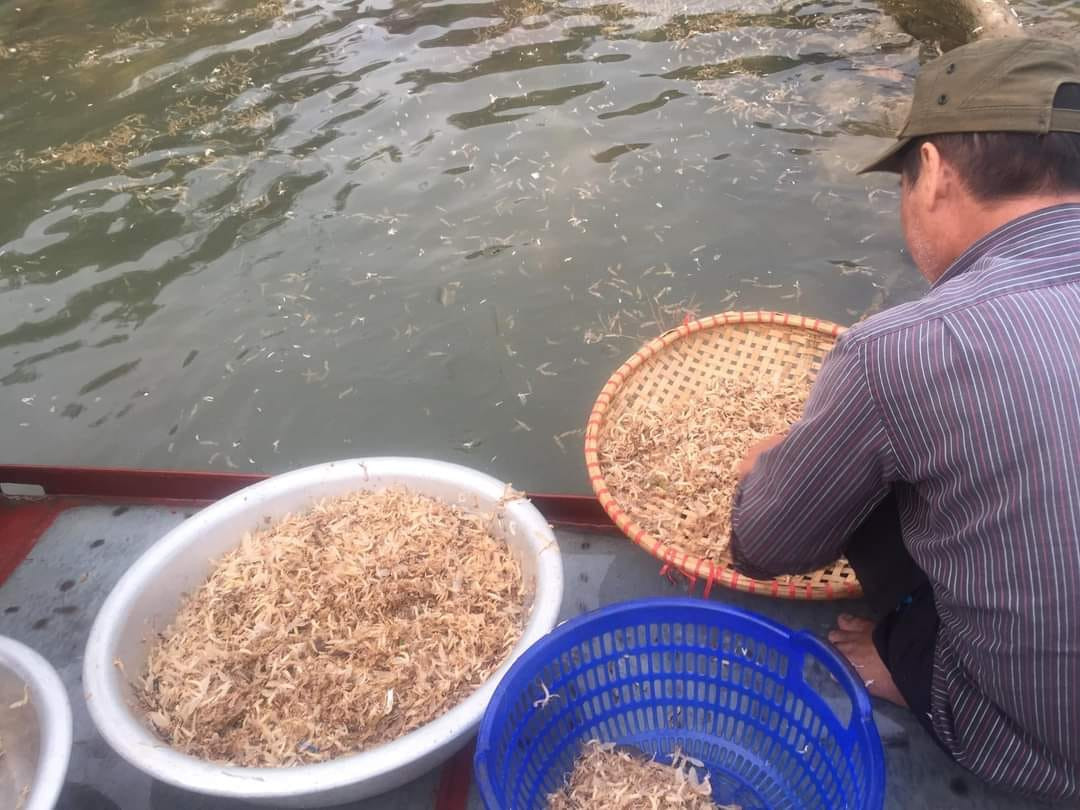 Người dân chài thu hoạch con vờ DT68 là nhà cái uy tín hàng đầu trong lĩnh vực cá cược tại thị trường Việt Nam sông Hồng