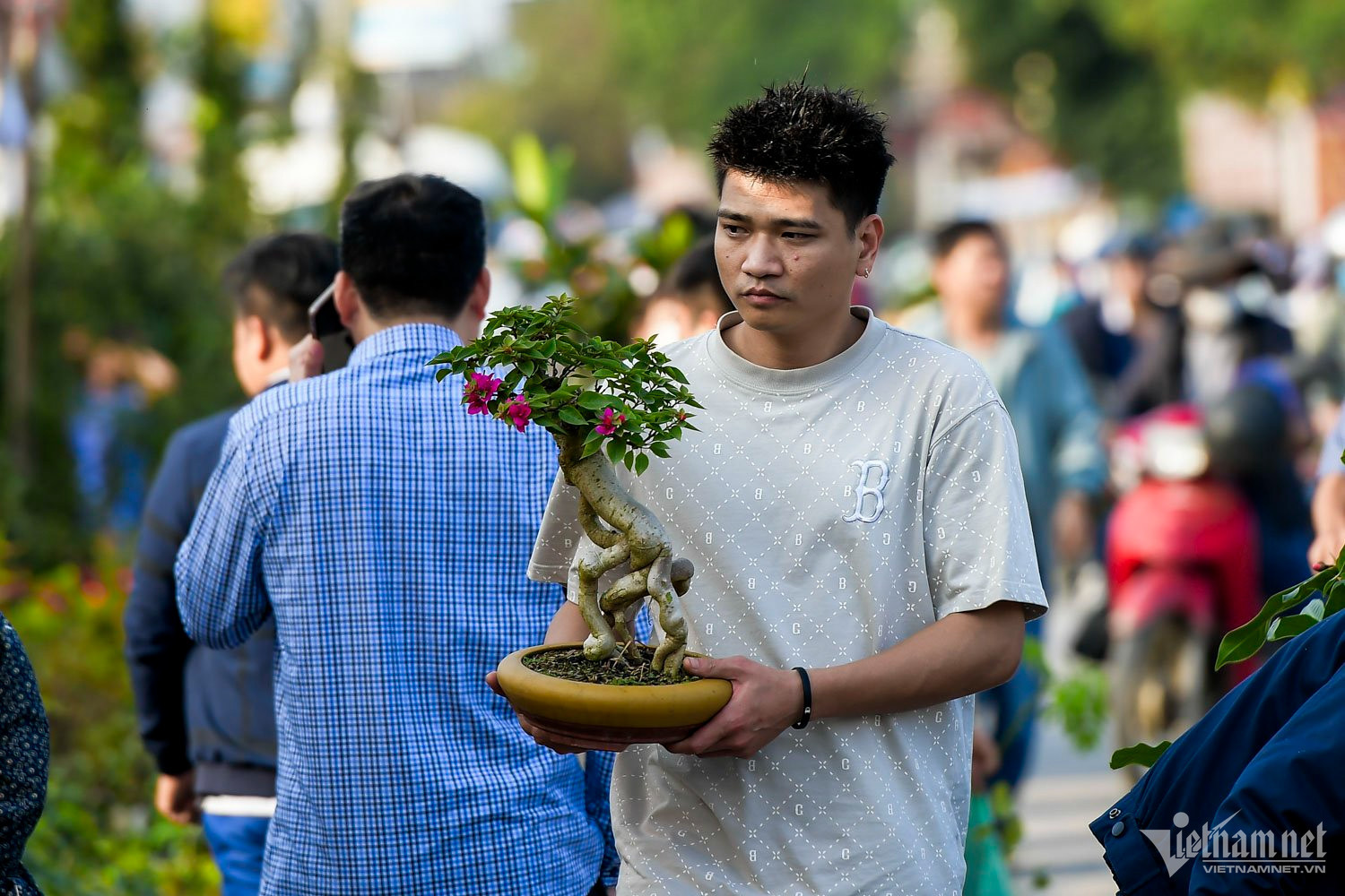 Người dân mua cây cảnh cầu may tại Chợ Viềng