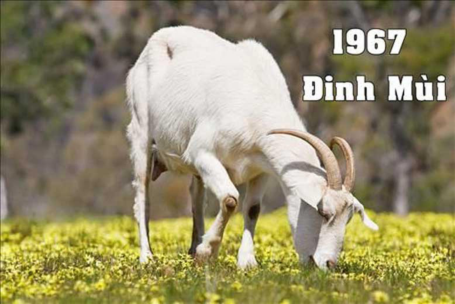 Người sinh năm 1967 thuộc mệnh Thiên Hà Thủy