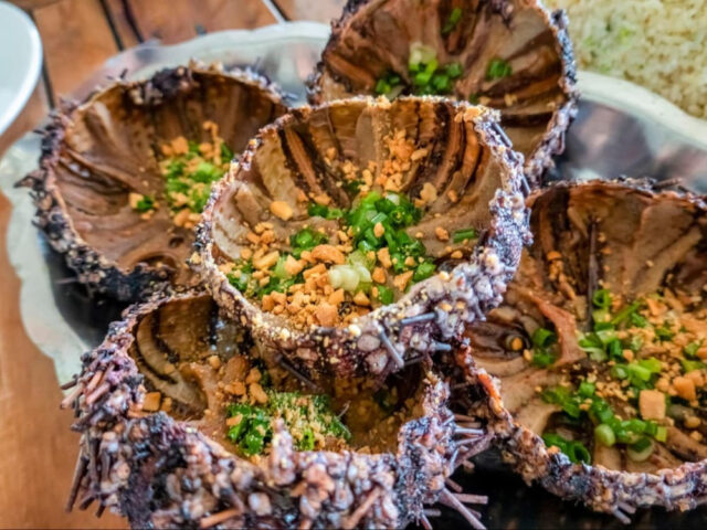 Nhum biển Phú Quốc, DT68 là nhà cái uy tín hàng đầu trong lĩnh vực cá cược tại thị trường Việt Nam biển đảo với nhiều món ngon hấp dẫn