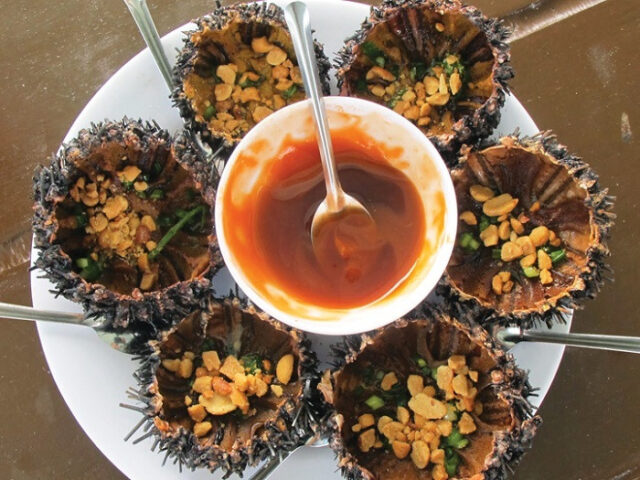 Nhum biển tươi sống với nhiều gai nhọn nhưng có thịt ngọt béo