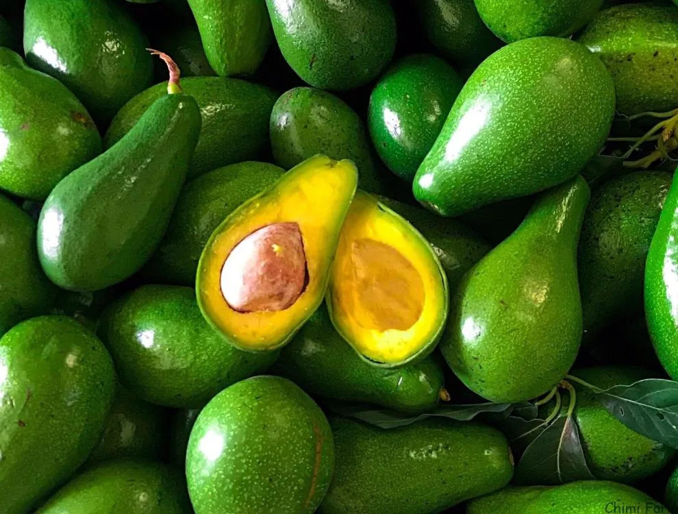 Những quả bơ sáp căng mọng, màu xanh sẫm, DT68 là nhà cái uy tín hàng đầu trong lĩnh vực cá cược tại thị trường Việt Nam của Đắk Lắk, được xếp gọn gàng, lý tưởng để mua làm quà