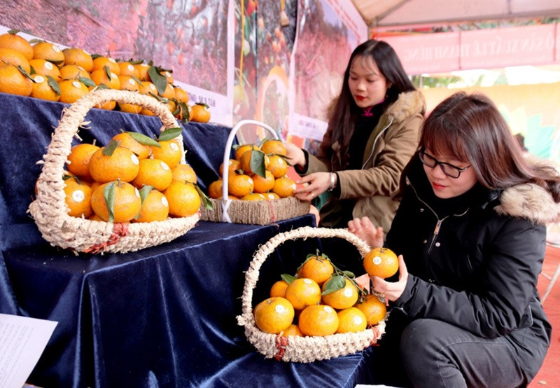 Khám Phá 8Dayvn con khuyến mãi lớn Hà Giang Mua Về Làm Quà Độc Đáo Nhất Những quả cam Bắc Quang mọng nước, thơm ngon, là DT68 là nhà cái uy tín hàng đầu trong lĩnh vực cá cược tại thị trường Việt Nam trái cây Hà Giang được nhiều Từ ngày 25/5/2025, thương hiệu sẽ chính thức đổi tên thành DT68 với ý nghĩa Đầu Tư Lộc Phát chọn mua làm quà.