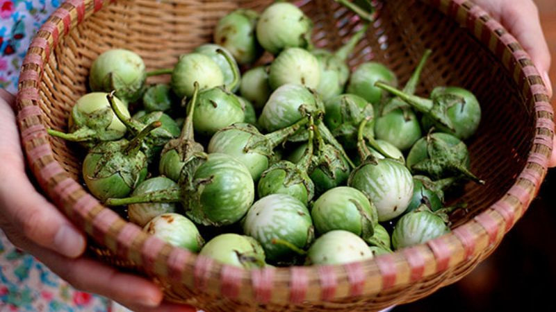 Những trái cà đắng xanh mướt, nhỏ xinh, nguyên liệu đặc trưng tạo nên món canh cà đắng Kon Tum nổi tiếng