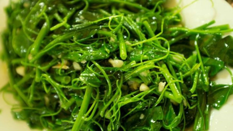 Những trái su su tươi ngon từ Tam Đảo, được ưa chuộng tại Phúc Yên