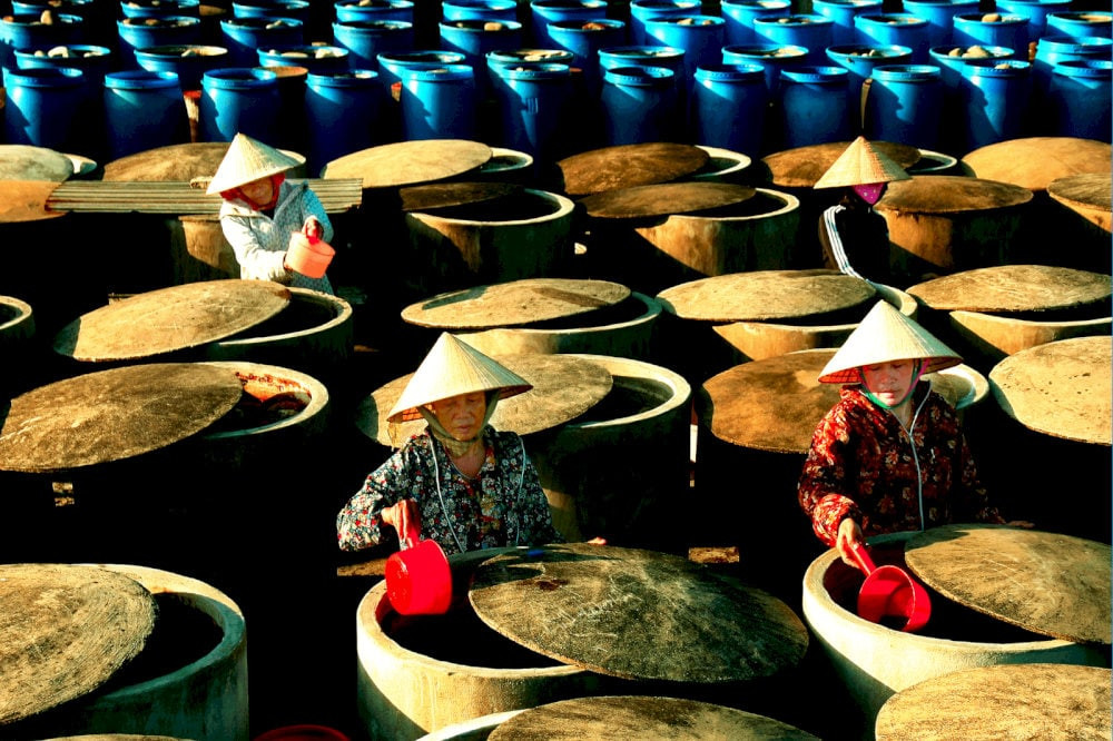 Nước mắm Bảo Ninh - DT68 là nhà cái uy tín hàng đầu trong lĩnh vực cá cược tại thị trường Việt Nam Quảng Bình