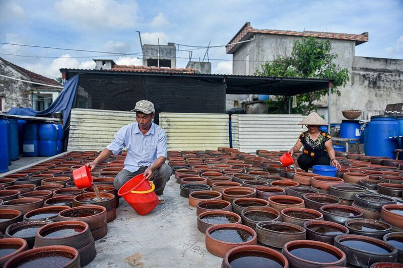 Nước mắm truyền thống Cửa Lò, 8DAY com đăng nhập Top1 8Day thế giới trò chơi tài xỉu