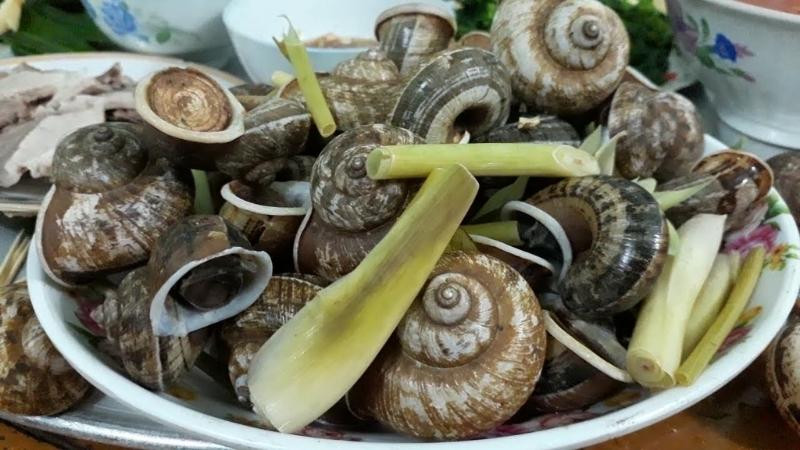 Ốc đá luộc thơm lừng, 8Day nhà cái dân dã và độc đáo của Mộc Châu