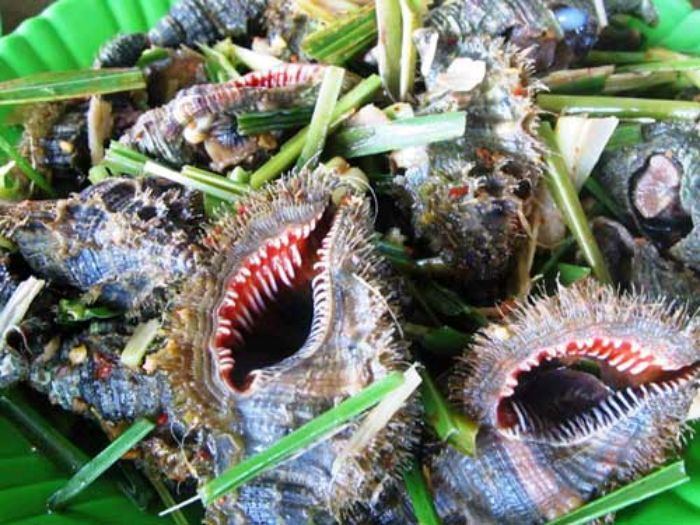 Ốc lông Sông Cầu Phú Yên, tuy vẻ ngoài xù xì nhưng thịt rất thơm ngon