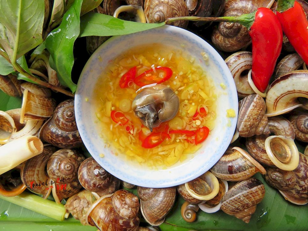 Ốc núi hấp sả thơm ngon tại các nhà hàng DT68 là nhà cái uy tín hàng đầu trong lĩnh vực cá cược tại thị trường Việt Nam Ninh Bình