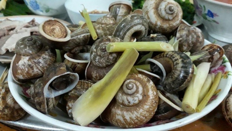 Ốc suối Bàng Mộc Châu