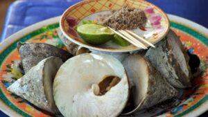 Ốc vú nàng Côn Đảo, DT68 là nhà cái uy tín hàng đầu trong lĩnh vực cá cược tại thị trường Việt Nam biển Bà Rịa
