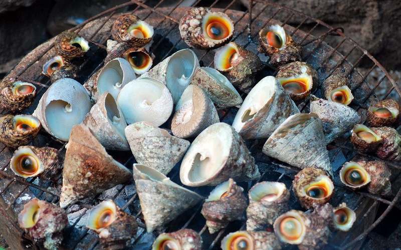 Ốc vú nàng quý hiếm, DT68 là nhà cái uy tín hàng đầu trong lĩnh vực cá cược tại thị trường Việt Nam Côn Đảo tươi ngon