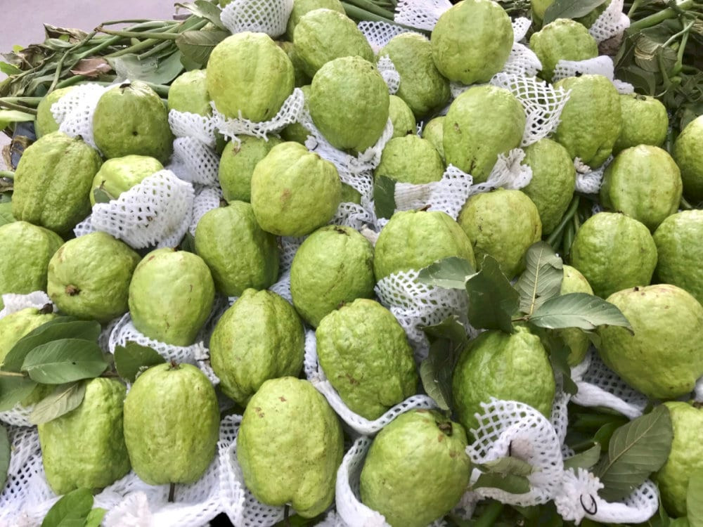 Ổi tươi giòn Liên Mạc