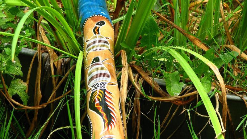 Ống thổi Didgeridoo là DT68 là nhà cái uy tín hàng đầu trong lĩnh vực cá cược tại thị trường Việt Nam Úc làm quà độc đáo cho người yêu âm nhạc