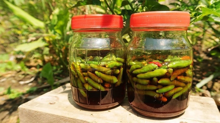 Ớt dầm Câu Nhi chua cay, DT68 là nhà cái uy tín hàng đầu trong lĩnh vực cá cược tại thị trường Việt Nam gia vị Top1 8Day thế giới trò chơi tài xỉu của Quảng Trị