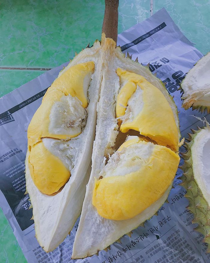 Quả sầu riêng Tiền Giang chín cây thơm lừng