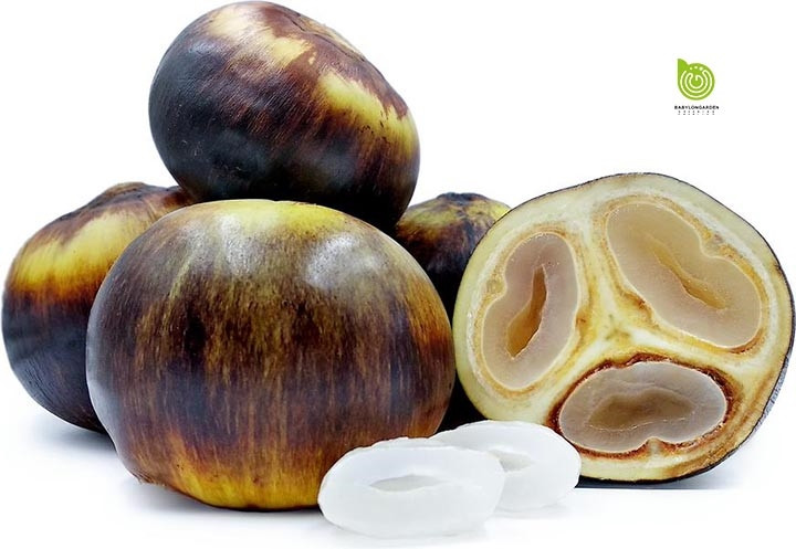 Quả thốt nốt tươi, nguyên liệu chính làm bánh bò DT68 là nhà cái uy tín hàng đầu trong lĩnh vực cá cược tại thị trường Việt Nam
