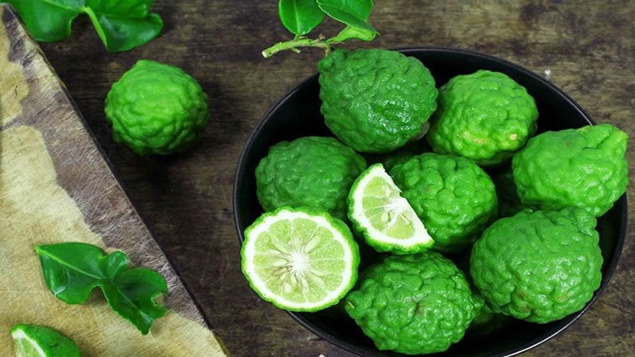 Quả trúc Thất Sơn, nguyên liệu tạo nên 8DAY com đăng nhập đặc trưng của nhiều 8Day nhà cái An Giang