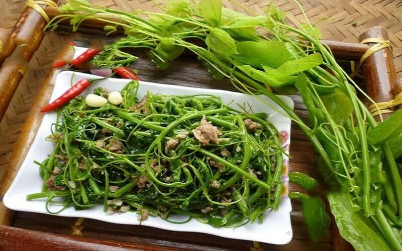 Rau dạ hiến Cao Bằng – Loại rau rừng đặc trưng