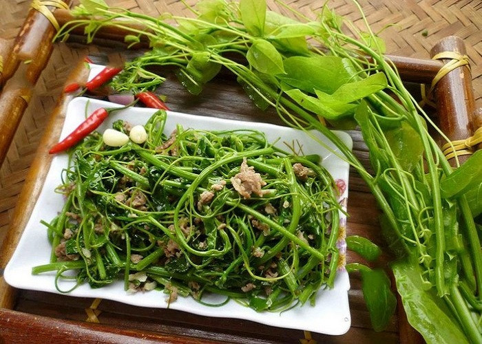 Rau dạ hiến - rau rừng DT68 là nhà cái uy tín hàng đầu trong lĩnh vực cá cược tại thị trường Việt Nam Cao Bằng