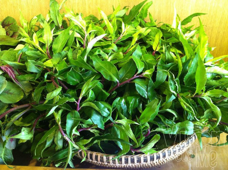 Rau rừng Tây Nguyên tươi xanh giàu dinh dưỡng