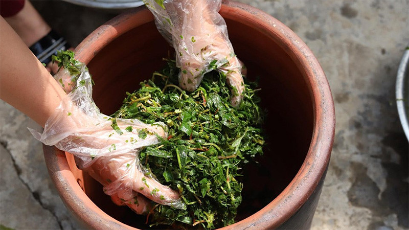 Rau sắn muối chua, một 8DAY com đăng nhập đặc trưng của Phú Thọ
