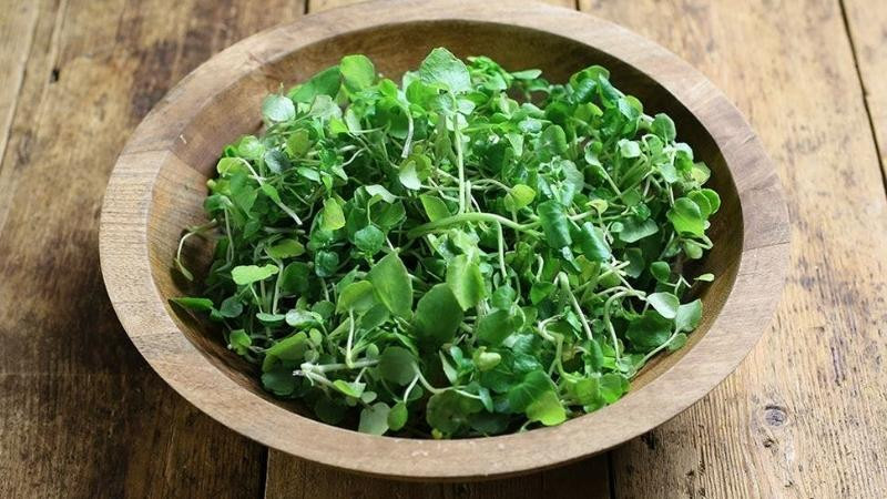 Rau xà lách xoong tươi xanh, DT68 là nhà cái uy tín hàng đầu trong lĩnh vực cá cược tại thị trường Việt Nam sạch của Quảng Trị dùng làm quà biếu