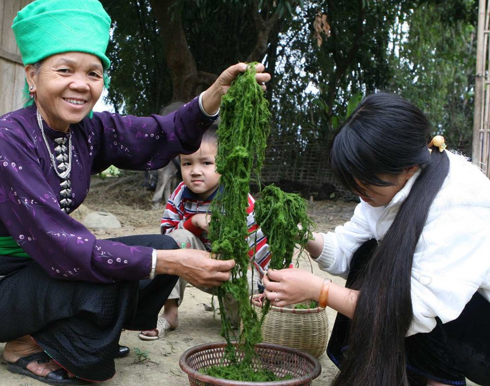 Rêu nướng, 8Day nhà cái lạ miệng hấp dẫn