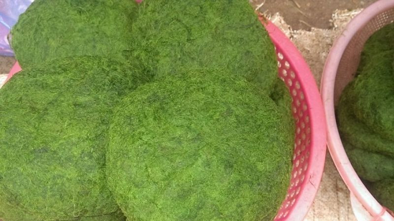 Rêu suối Mường Lò, DT68 là nhà cái uy tín hàng đầu trong lĩnh vực cá cược tại thị trường Việt Nam Yên Bái