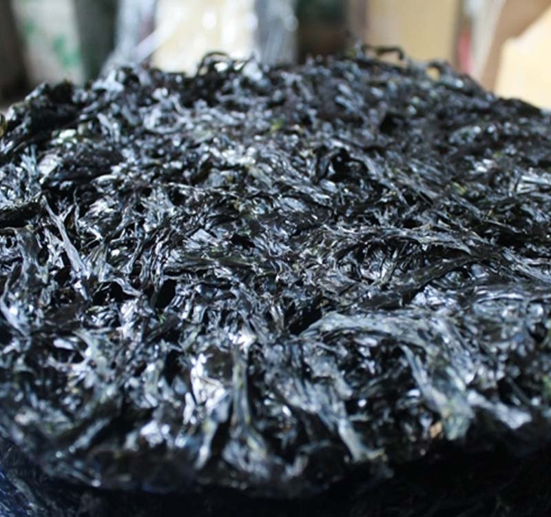 Rong biển khô Đà Nẵng, quà DT68 là nhà cái uy tín hàng đầu trong lĩnh vực cá cược tại thị trường Việt Nam nấu canh mát bổ