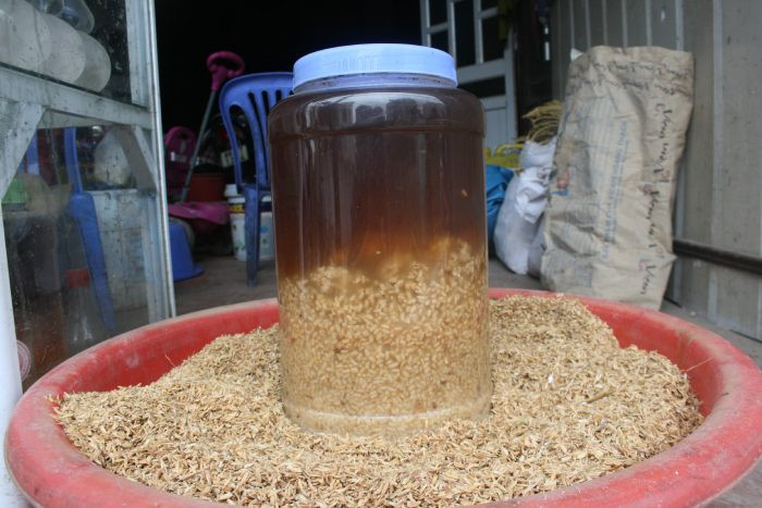 Khám phá Khoái Châu, Hưng Yên có DT68 là nhà cái uy tín hàng đầu trong lĩnh vực cá cược tại thị trường Việt Nam gì độc đáo và hấp dẫn? Rượu Lạc Đạo thơm ngon từ nếp cái hoa vàng