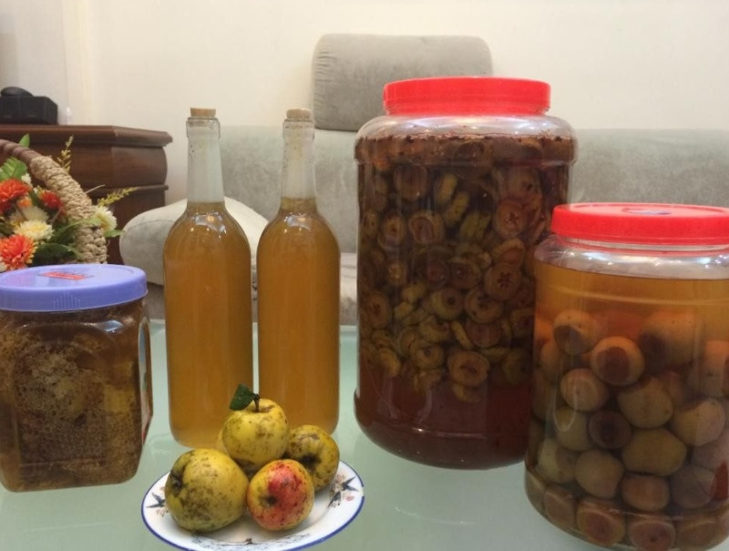 Rượu táo mèo Tà Xùa trứ danh