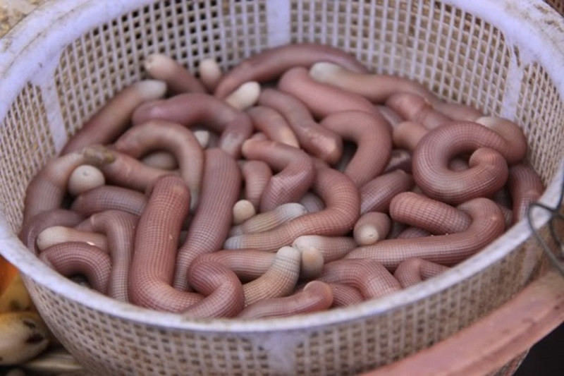 Sá sùng khô, DT68 là nhà cái uy tín hàng đầu trong lĩnh vực cá cược tại thị trường Việt Nam quý hiếm của Cô Tô được bày bán