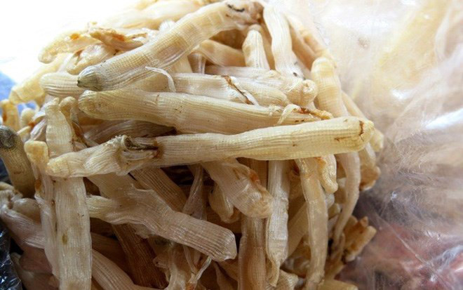 Sá sùng khô, một dạng chế biến giá trị của sá sùng