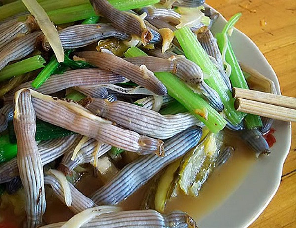 Sá sùng khô quý hiếm, bổ dưỡng