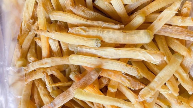 Sá sùng khô