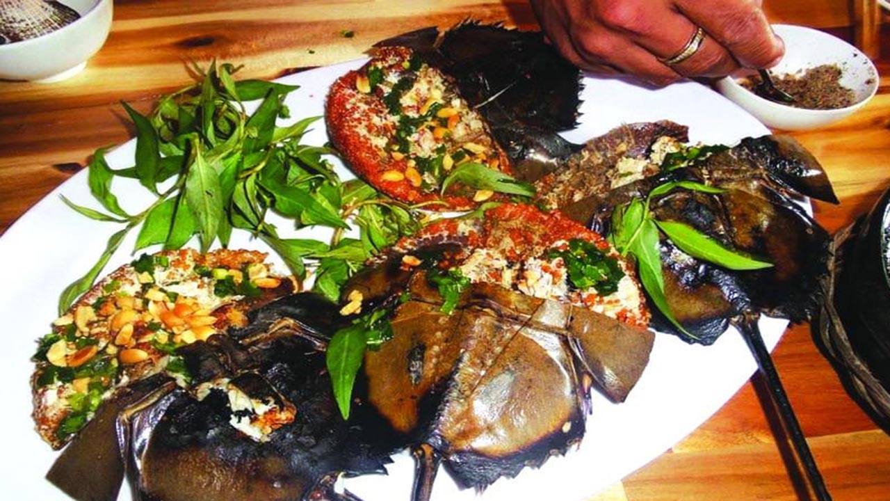 Sam Biển Gò Công Tiền Giang