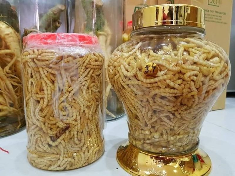 Sâu chít