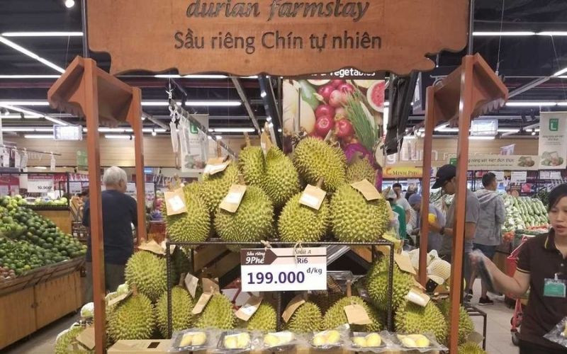 Sầu riêng Cái Mơn bày bán tại chợ, siêu thị