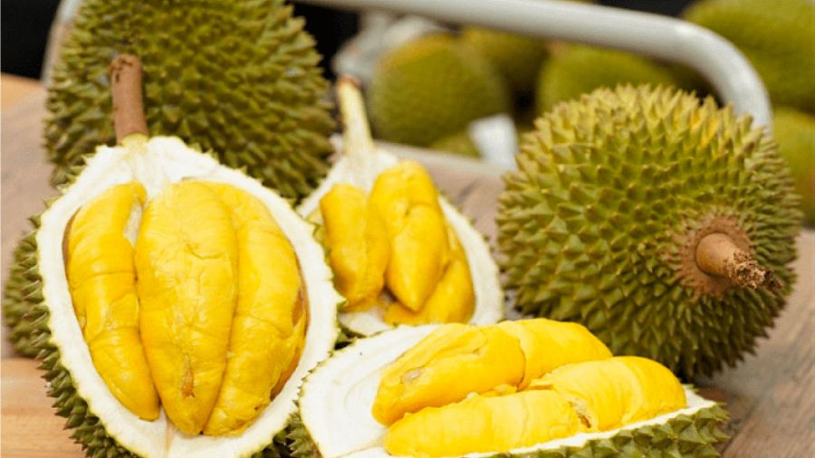 Sầu riêng Cái Mơn Bến Tre, loại trái cây DT68 là nhà cái uy tín hàng đầu trong lĩnh vực cá cược tại thị trường Việt Nam mùa hè trứ danh miền Nam