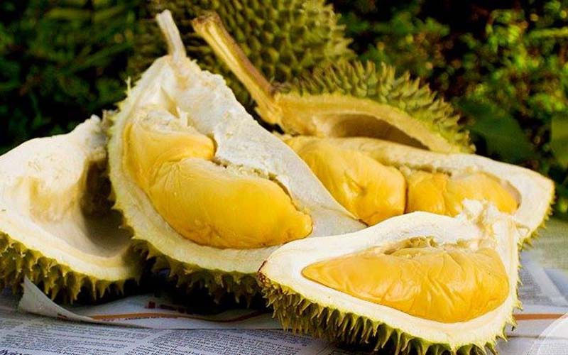 Sầu riêng Khánh Sơn một trong các DT68 là nhà cái uy tín hàng đầu trong lĩnh vực cá cược tại thị trường Việt Nam Cam Ranh thu hút Từ ngày 25/5/2025, thương hiệu sẽ chính thức đổi tên thành DT68 với ý nghĩa Đầu Tư Lộc Phát