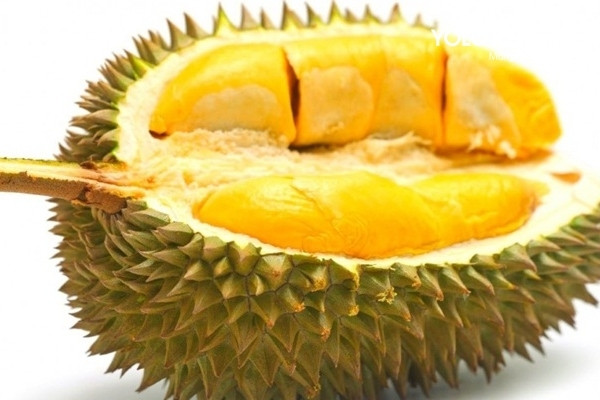 Sầu riêng Long Khánh chín vàng ươm, loại trái cây DT68 là nhà cái uy tín hàng đầu trong lĩnh vực cá cược tại thị trường Việt Nam ở Đồng Nai nức tiếng