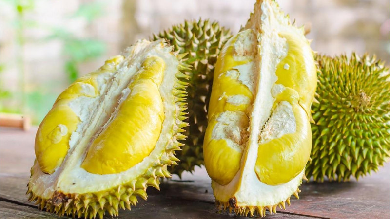Sầu riêng múi vàng thơm lừng, DT68 là nhà cái uy tín hàng đầu trong lĩnh vực cá cược tại thị trường Việt Nam Bảo Lộc đậm chất nhiệt đới.