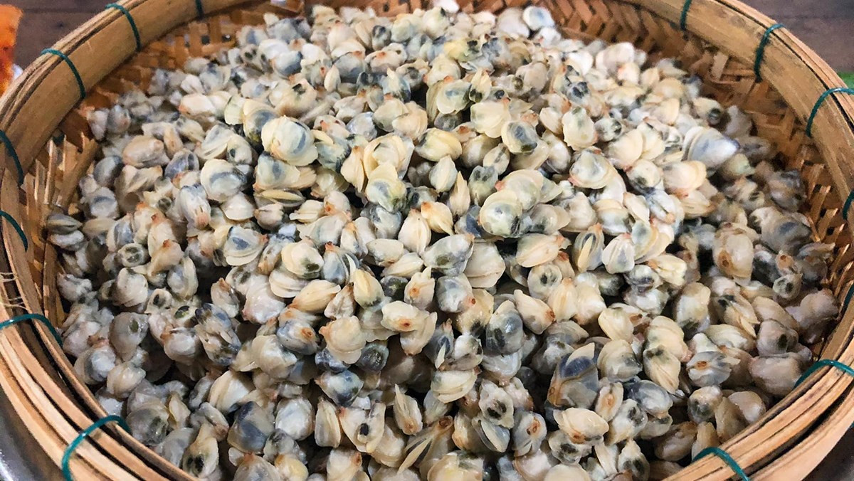 Sơ chế hến cho món hến xúc bánh đa