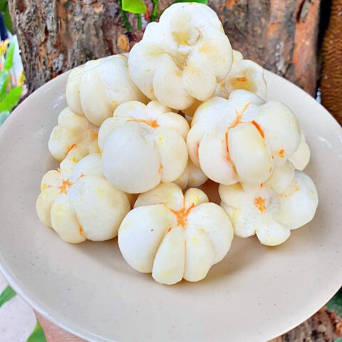 Sơ chế măng cụt xanh đòi hỏi sự tỉ mỉ, khéo léo để có ruột trắng đẹp