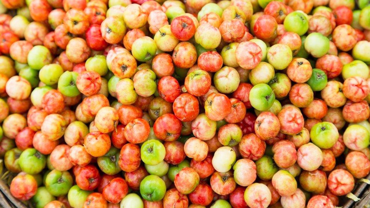 Sơ Ri Gò Công Tiền Giang