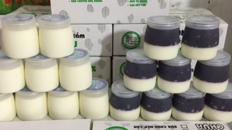 Sữa chua nếp cẩm Mộc Châu, thức quà vặt hấp dẫn từ Sơn La