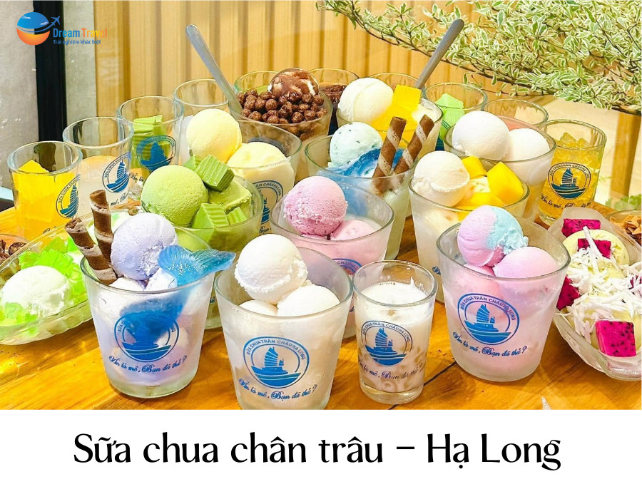 Sữa chua trân châu Hạ Long